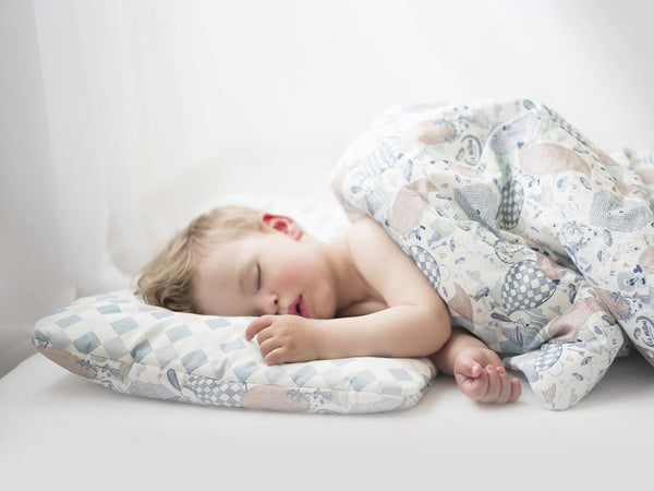 BEDDING SET WITH FILLING TODDLER "L" - FRENCH ROSE JARDIN & FRENCH ROSES